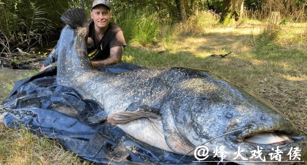 男子夜潜12米深水库，偶遇巨型鲶鱼，鱼嘴比人头都宽！网友：这鱼会吃小孩！